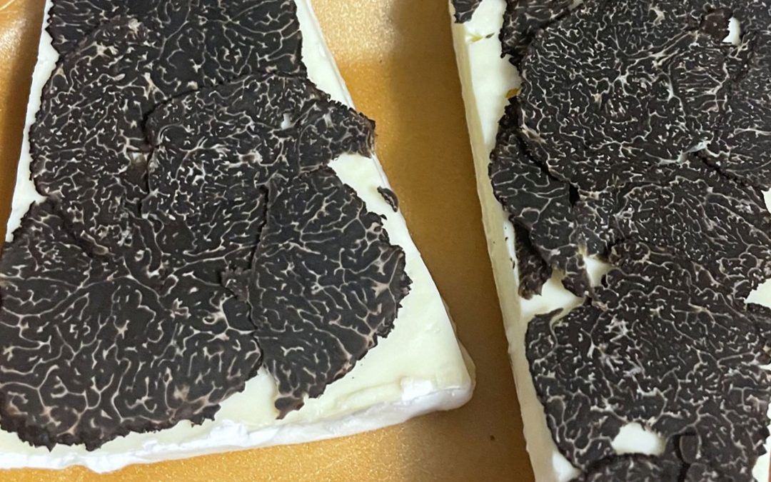 Brie de meaux truffé