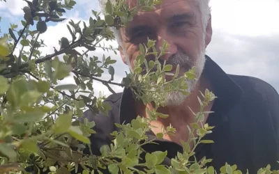 Nos remerciements à Thierry Bernal, pépiniériste et partenaire de l’AITNA