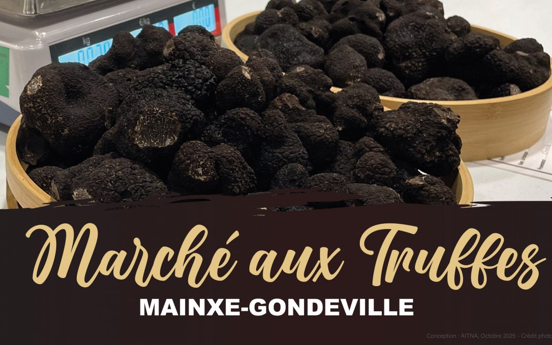 Le marché aux truffes de Mainxe-Gondeville 2025-2026