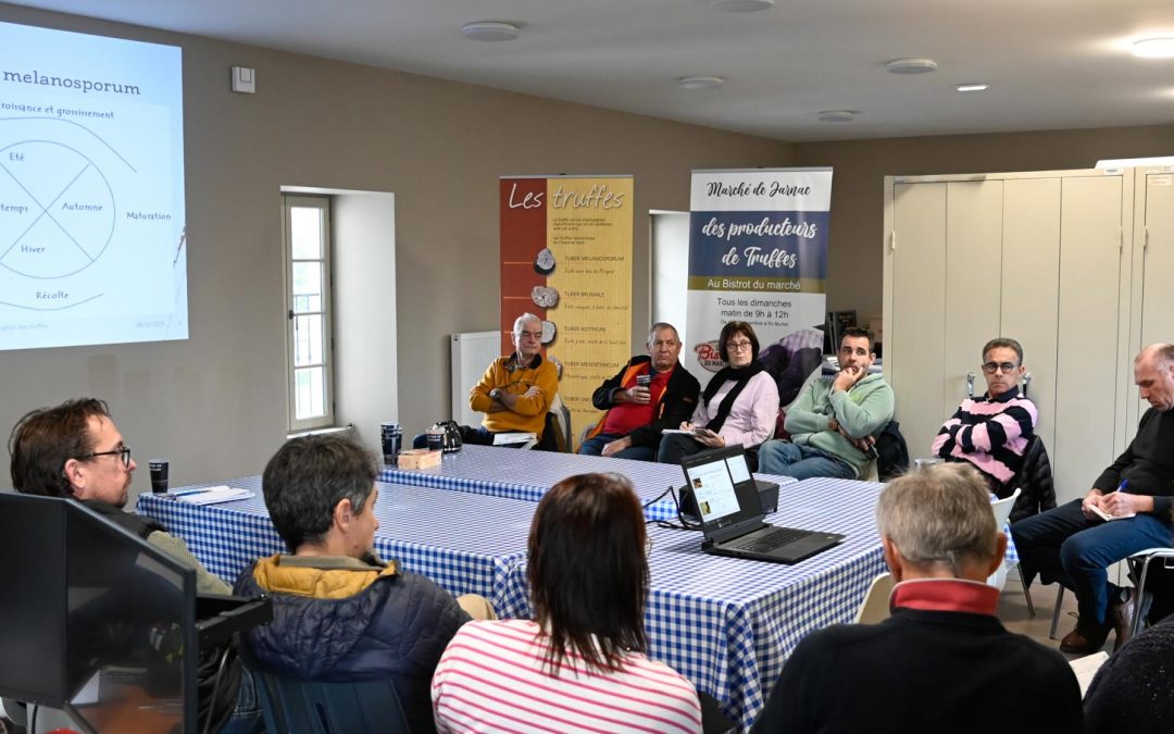 Formation : Identification et classification des truffes