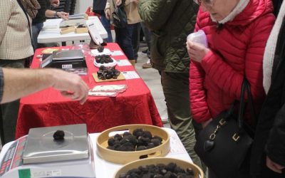 Mainxe-Gondeville : dernier marché aux truffes ce dimanche 8 février